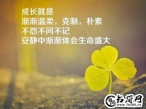 每天一句励志阳光话 阳光语录暖人心一句话