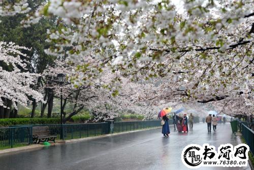 晚上下雨发朋友圈的句子 下雨天朋友圈心情句子