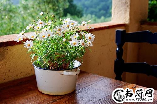 三八妇女节祝福的话 妇女节祝福一句话