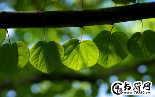 大气气派的句子，看完忍不住发朋友圈！