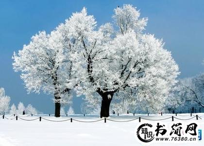 关于雪景的句子