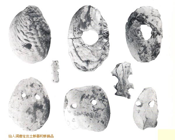 仙人洞遺址出土蚌器和蚌飾品